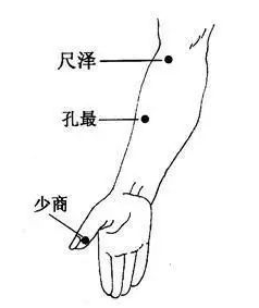 鱼佳丽